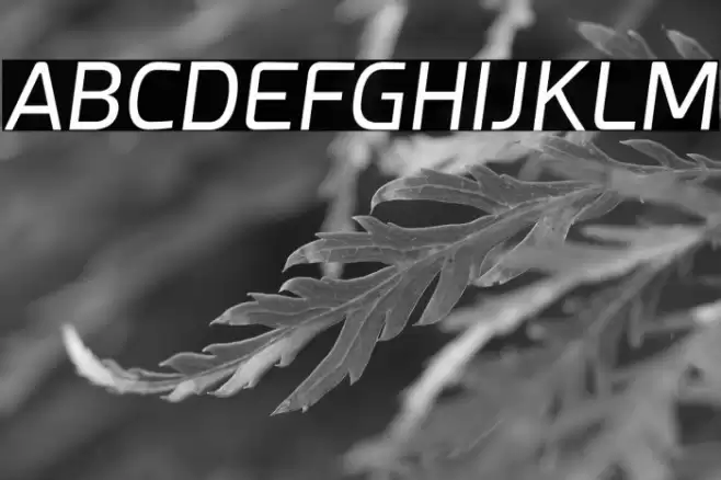 Esphimere Italic Font examples