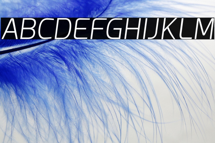 Esphimere Light Italic Example 2