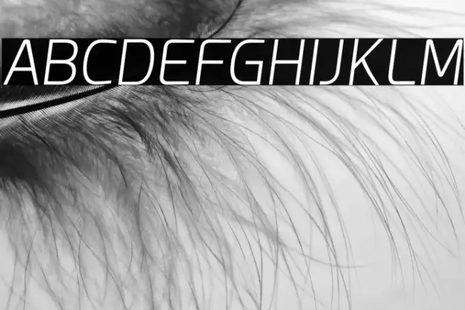 Esphimere Light Italic Example 2