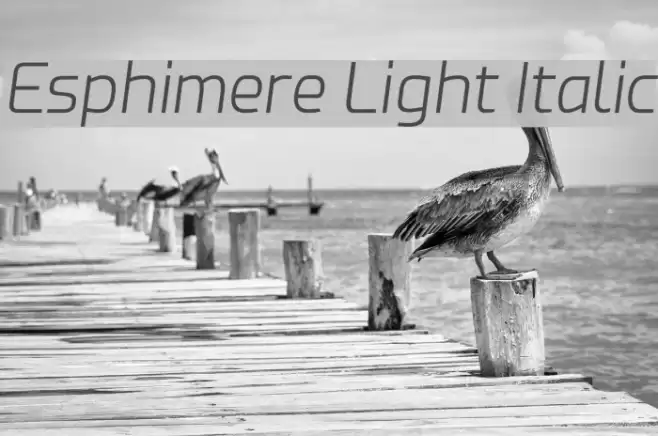 Esphimere Light Italic Font examples