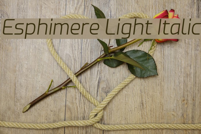 Esphimere Light Italic Font examples
