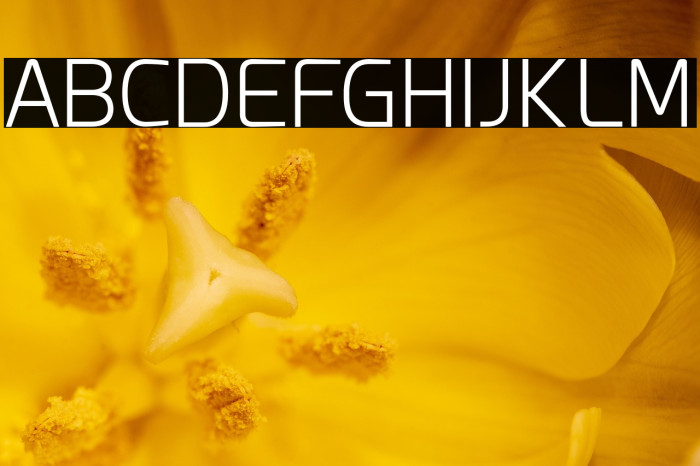 Esphimere Light Example 1