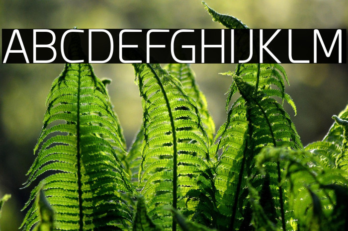 Esphimere Light Example 2