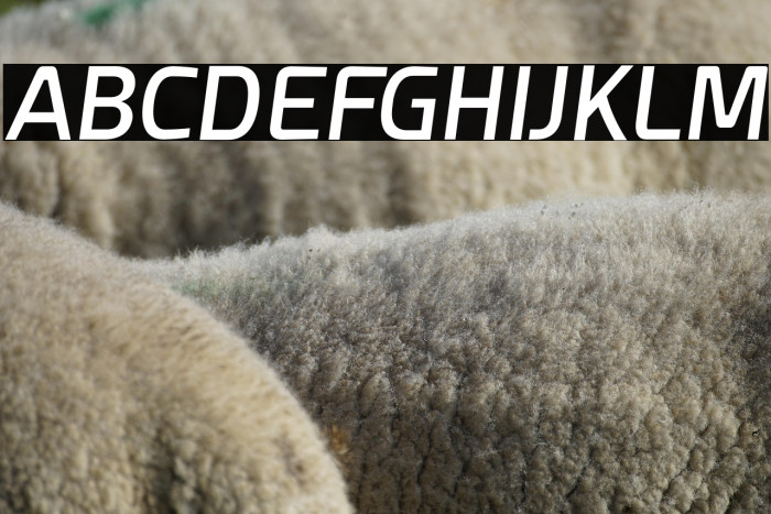 Esphimere Semi Bold Italic Example 1