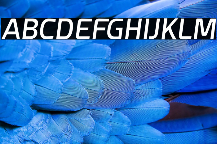 Esphimere Semi Bold Italic Example 2