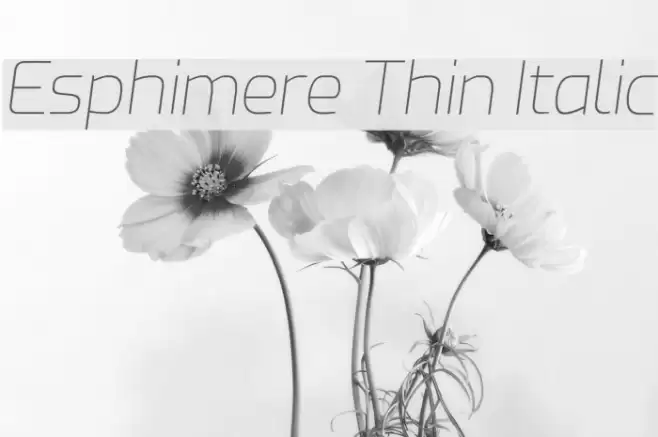 Esphimere Thin Italic Font examples
