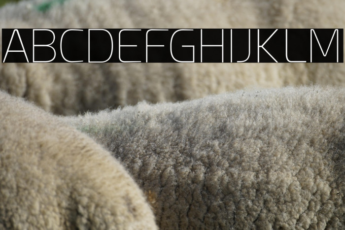 Esphimere Thin Example 1