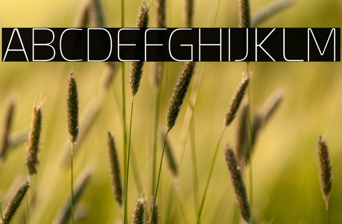 Esphimere Thin Example 2