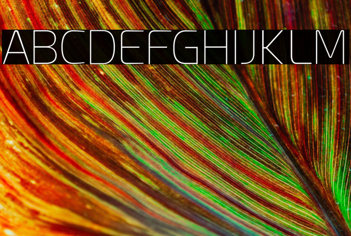 Esphimere Thin Example 3