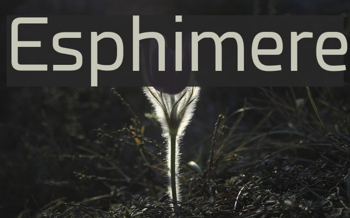 Esphimere Font examples