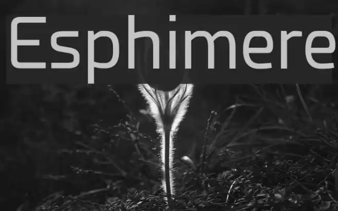 Esphimere Font examples