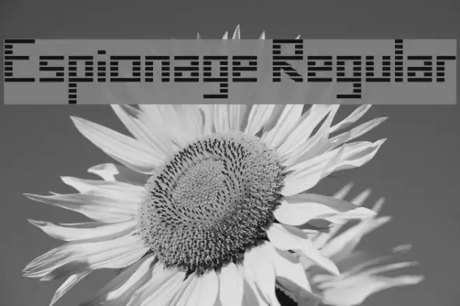 Espionage Regular Font examples