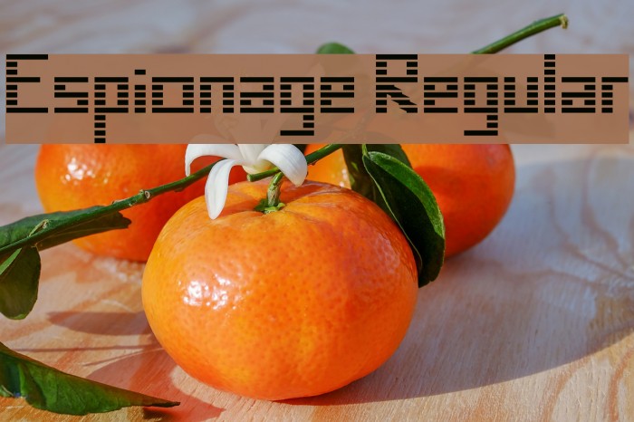 Espionage Regular Font examples