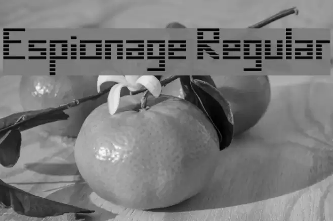 Espionage Regular Font examples