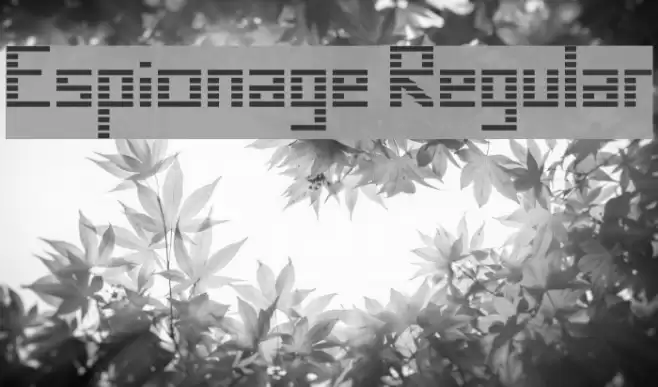 Espionage Regular Font examples