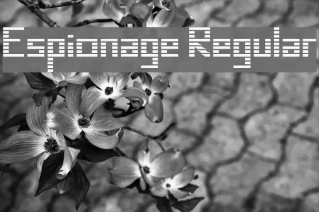 Espionage Regular Font examples