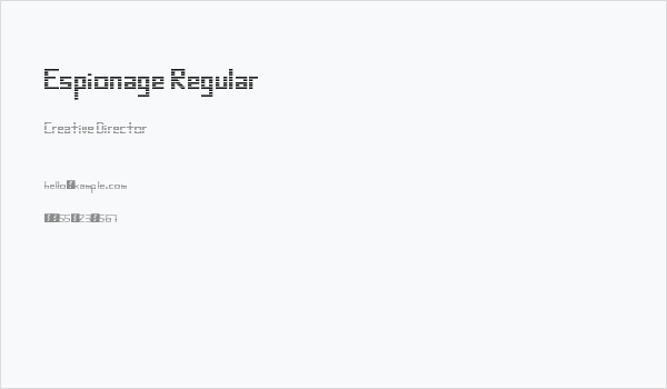 Espionage Regular Business Card