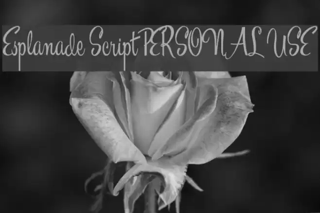 Esplanade Script PERSONAL USE Font examples