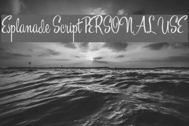 Esplanade Script PERSONAL USE Font examples