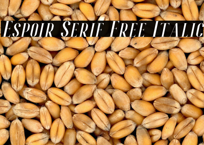 Espoir Serif Free Italic Example 2