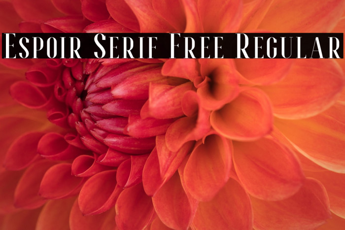 Espoir Serif Free Regular Example 1