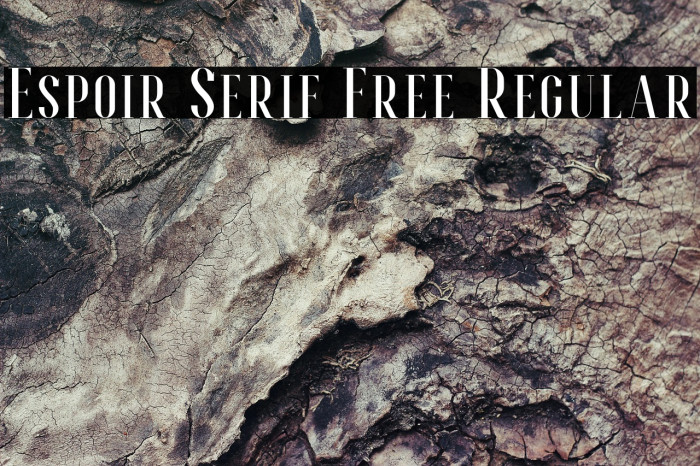 Espoir Serif Free Regular Example 2