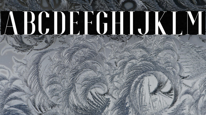 EspoirSerifFree-Regular Example 2