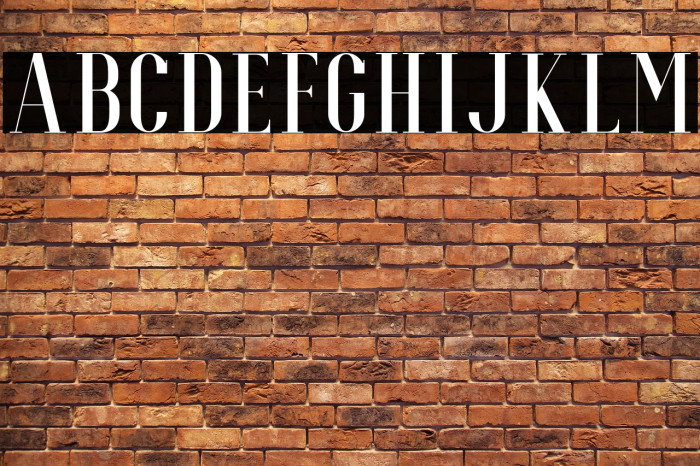 EspoirSerifFree-Regular Example 3