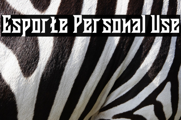 Esporte Personal Use Example 1