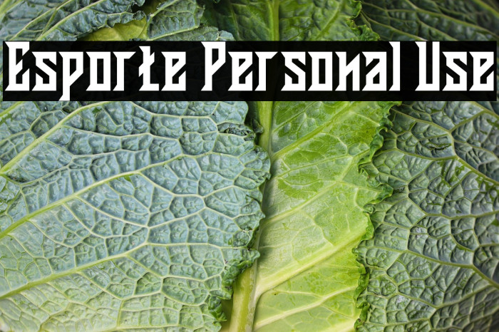 Esporte Personal Use Example 2