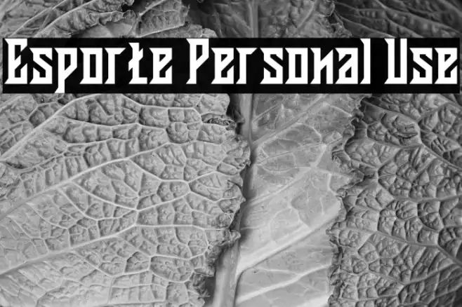 Esporte Personal Use Example 2