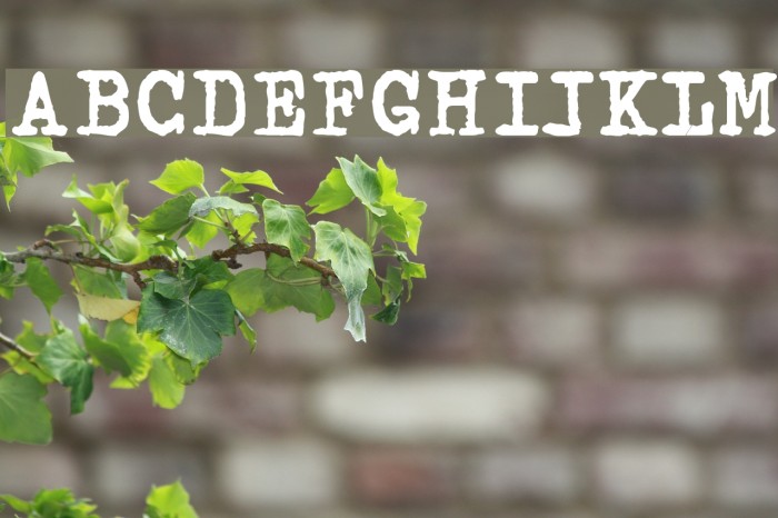 Espresso Font examples