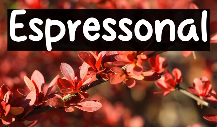 Espressonal Example 2