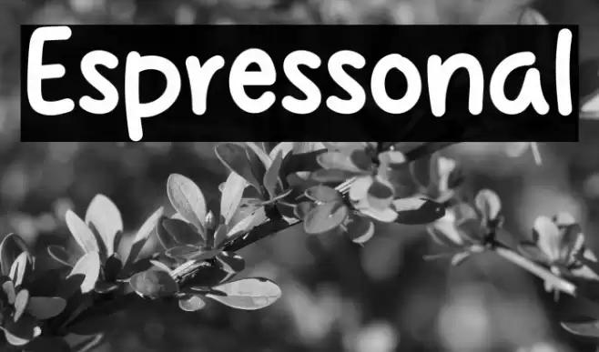 Espressonal Font examples