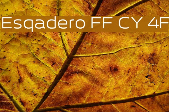 Esqadero FF CY 4F Font examples