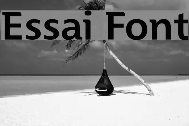 Essai Example 1