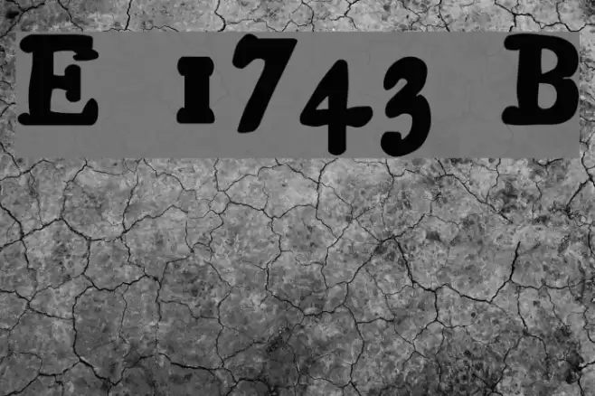 Essays 1743 Bold Polices examples