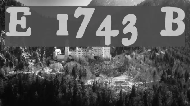 Essays 1743 Bold Polices examples