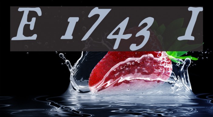 Essays 1743 Italic Font examples