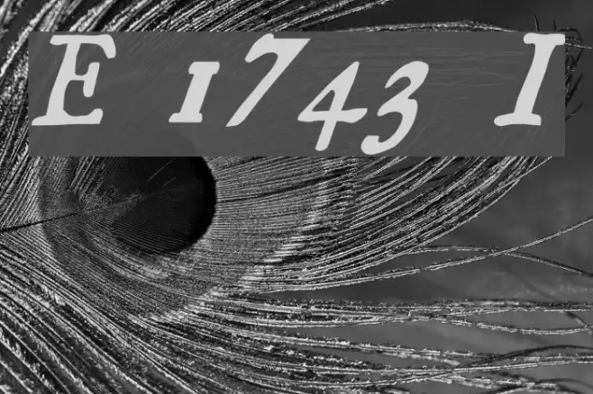 Essays 1743 Italic Font examples