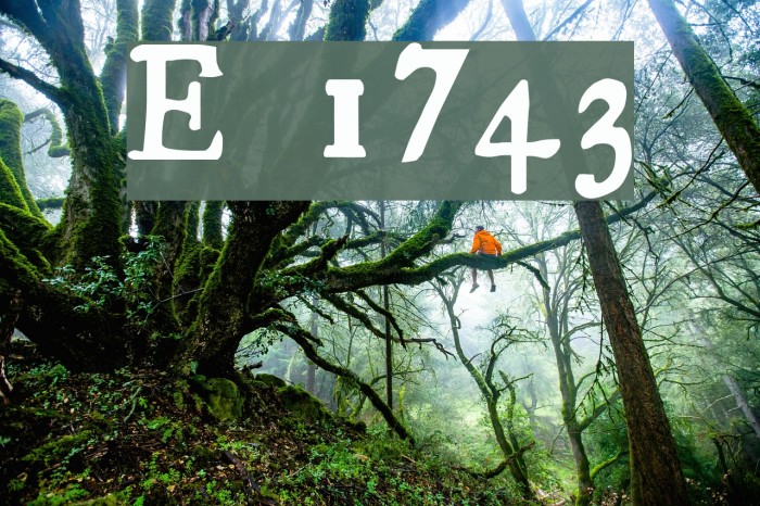 Essays 1743 Font examples