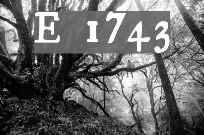 Essays 1743  examples