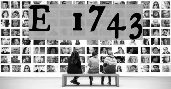 Essays 1743  examples