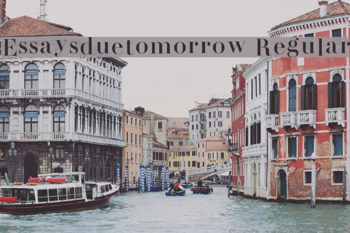 Essaysduetomorrow Regular Font examples