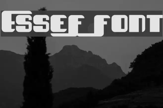 EsseF Example 1
