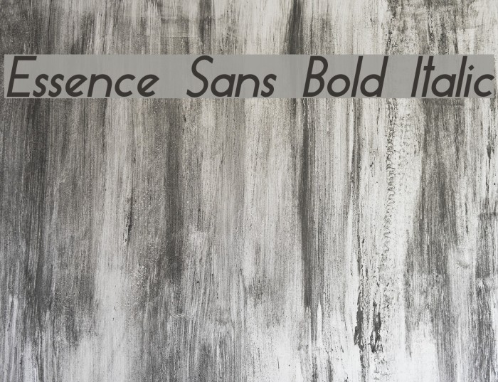 Essence Sans Bold Italic Example 1