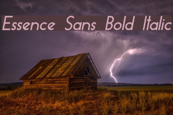 Essence Sans Bold Italic Example 2