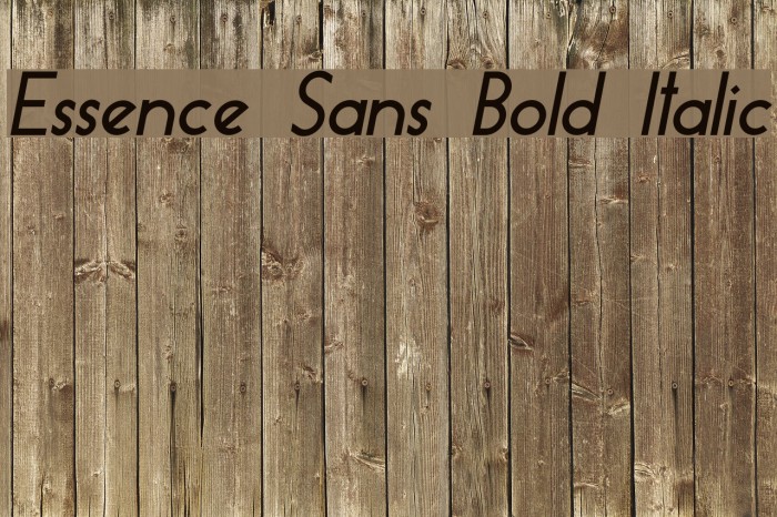 Essence Sans Bold Italic Example 3