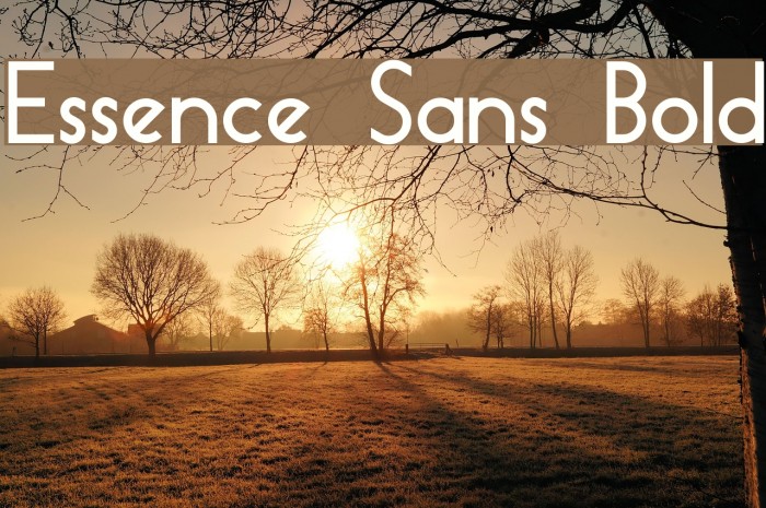 Essence Sans Bold Font examples