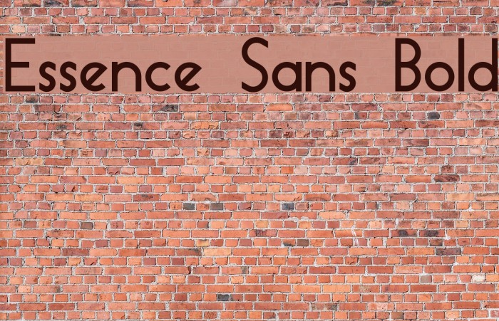Essence Sans Bold Font examples